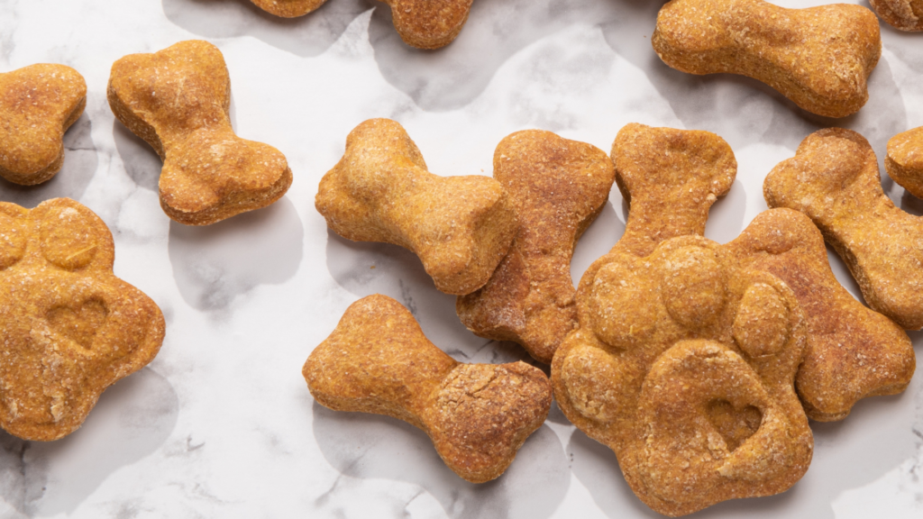 Gourmet Dog Treat Case Study Header