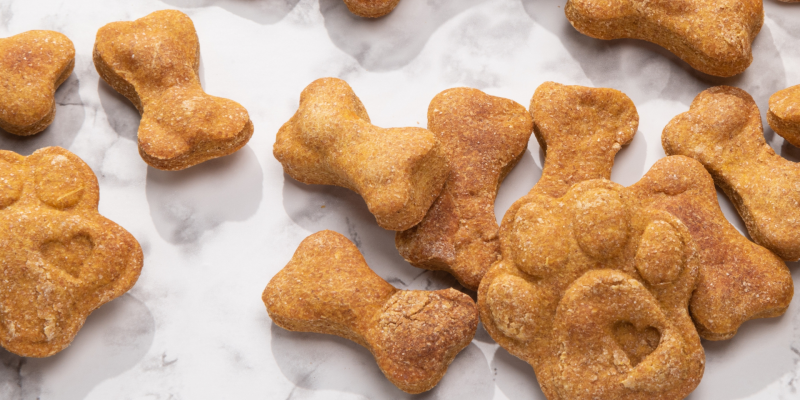 Gourmet Dog Treat Case Study Header